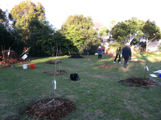Plant a community orchard or garden